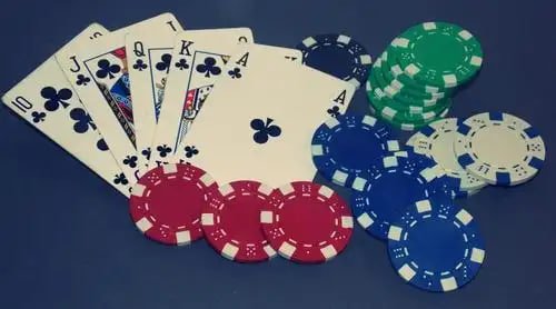 sof777 taruhan olahraga platform live betting sepak bola basket tenis odds kompetitif